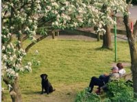 ein Bild aus dem Album